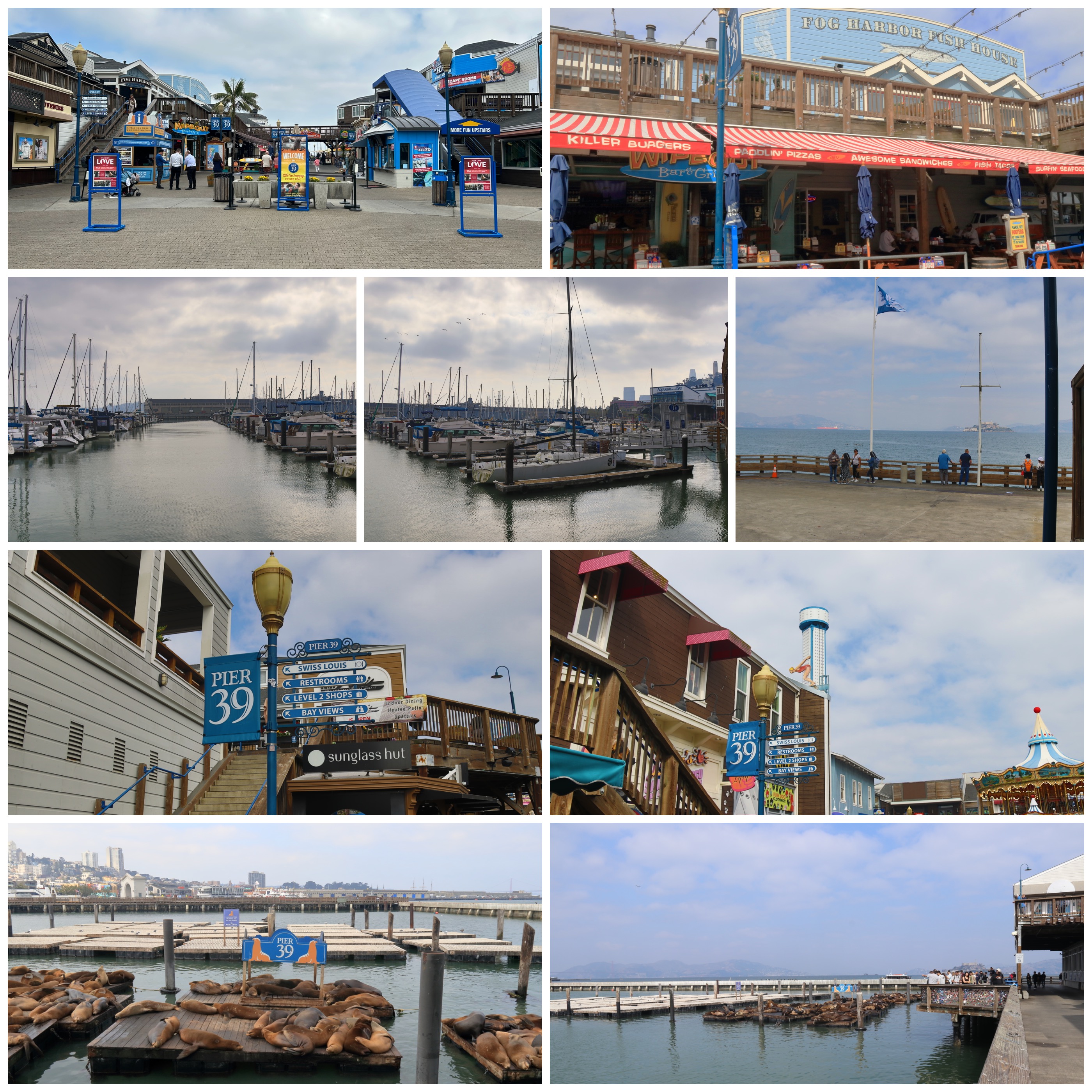 collage-fishermans-wharf-pier39